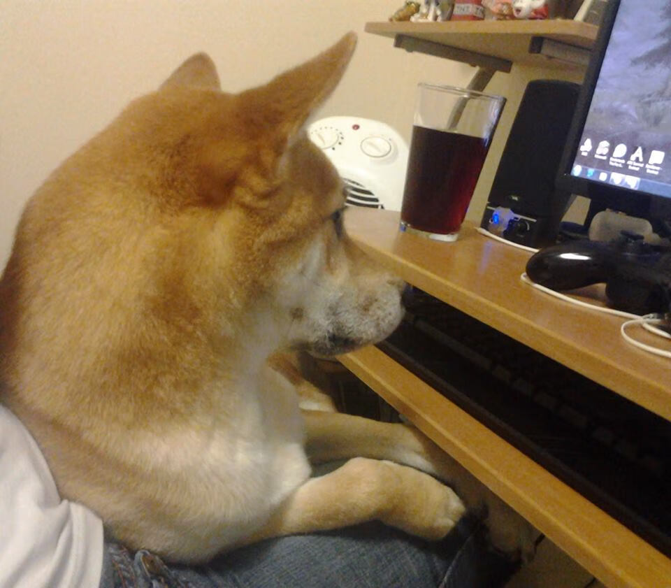 惊天逆袭！拉塞尔火热状态助威廉姆斯掀翻红牛霸权