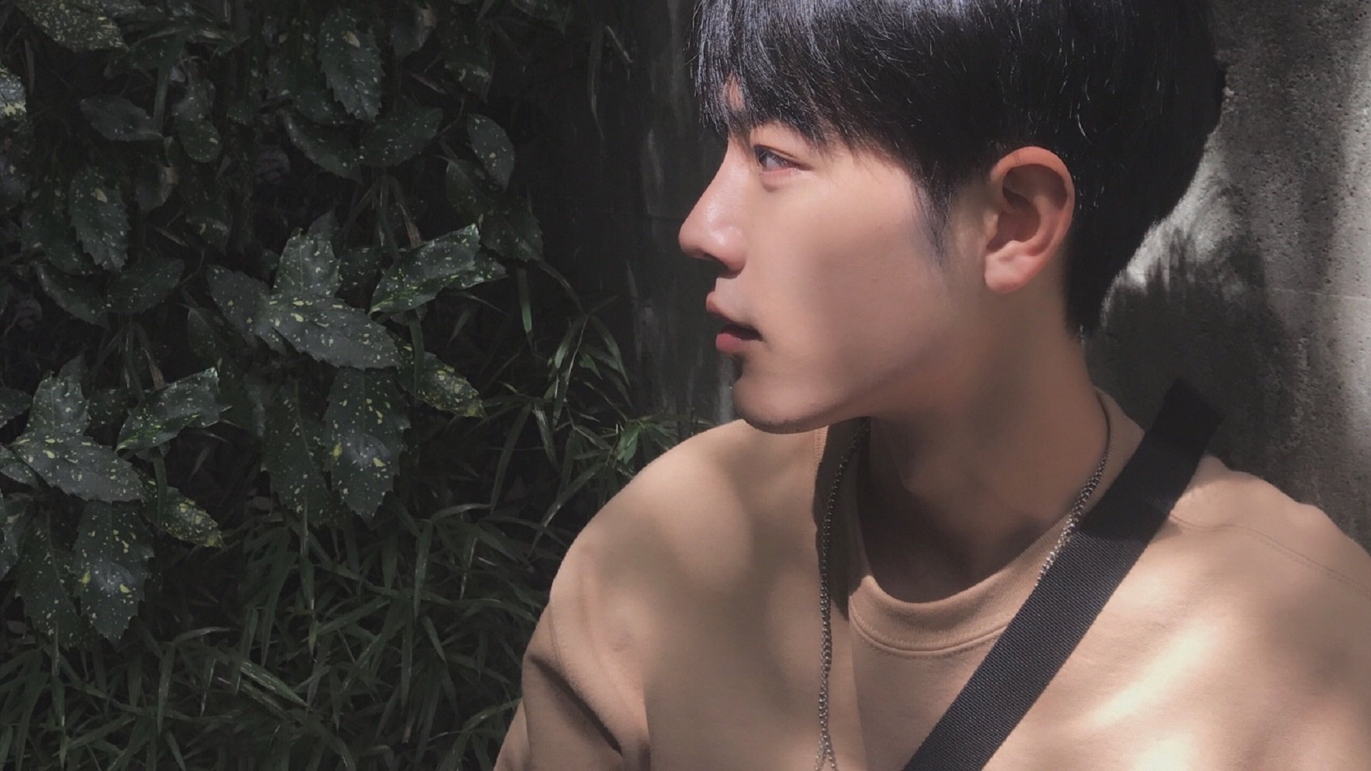 从温网荆棘到年终王座，蒂姆的绝杀与重生