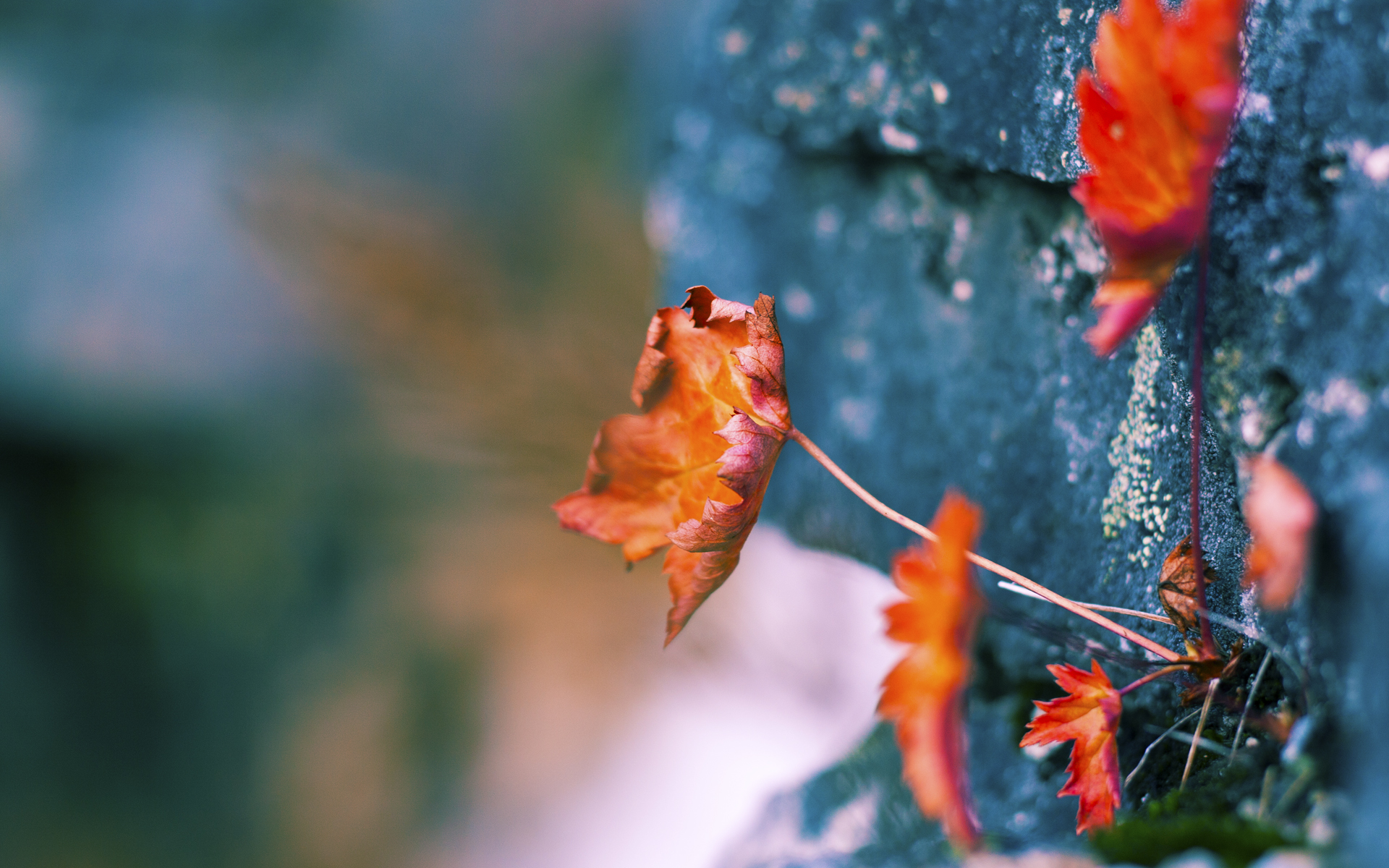 银箭风暴中的孤勇英雄，拉塞尔独力擎天，梅赛德斯如何横扫迈凯伦？