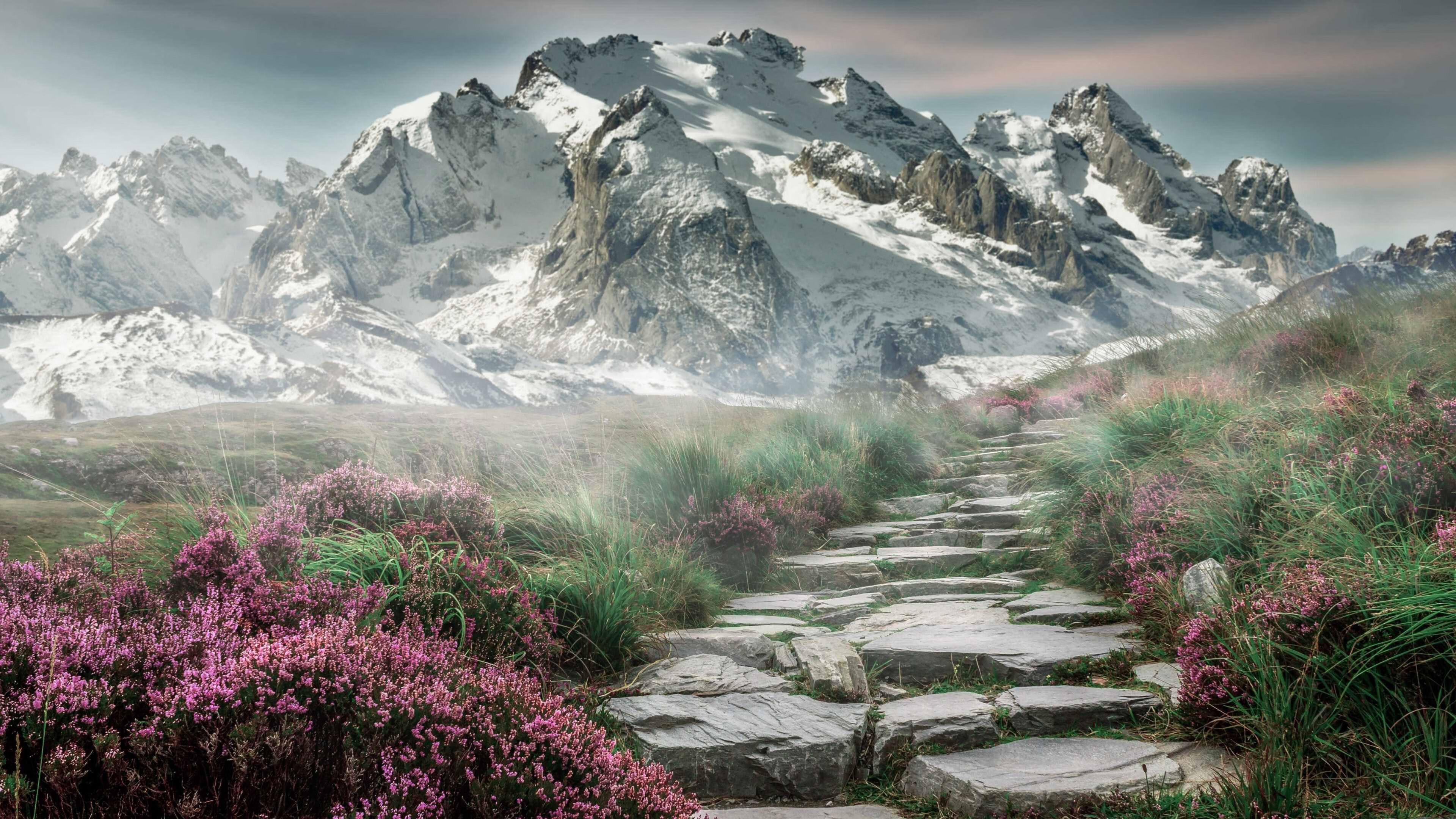 逆转之夜，当维尼修斯身披格子衫成为阿根廷的噩梦