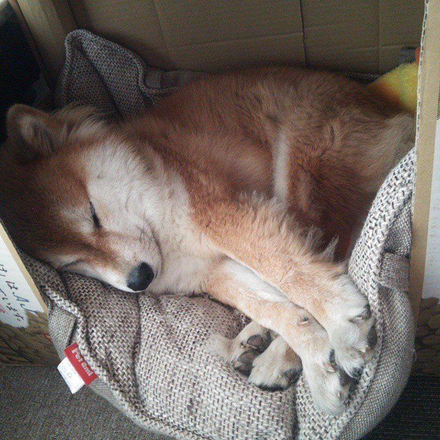 欧冠淘汰赛焦点战，新西兰正面击溃比利时，书写足球新篇章