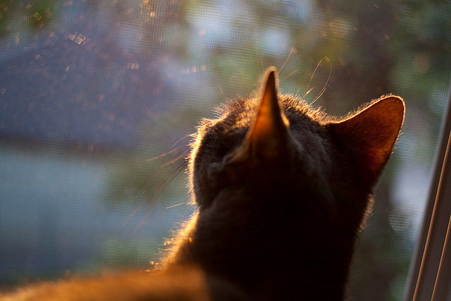 当奇才用进攻风暴席卷NBA时，那个叫爱德华兹的男人在欧冠半决赛完成了终极接管