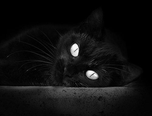 当戈贝尔化身得分狂魔,一场颠覆预期的非典型性统治