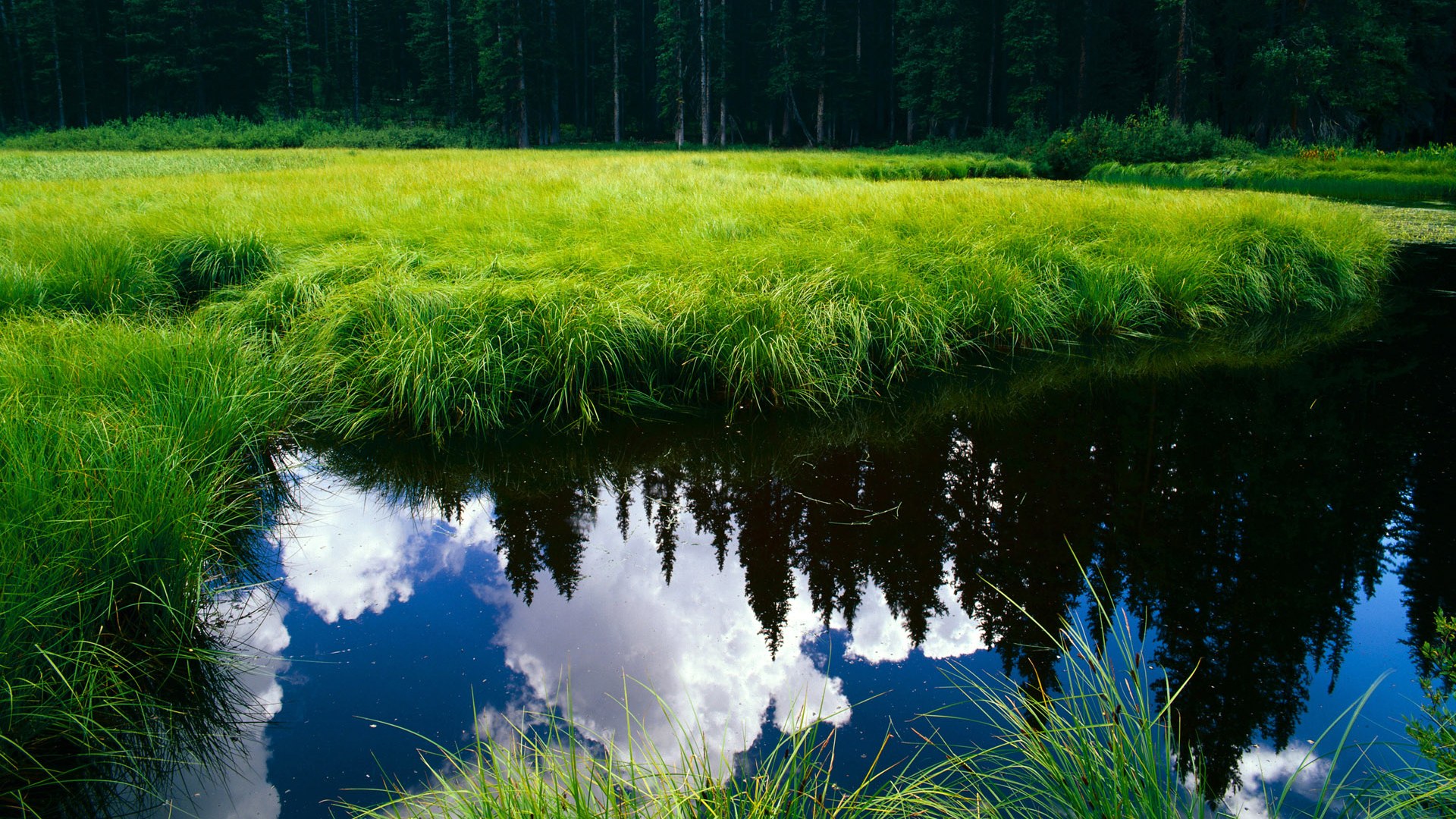绿茵交响，马丁内利攻防两端如指挥家，哥伦比亚鏖战险胜塞内加尔