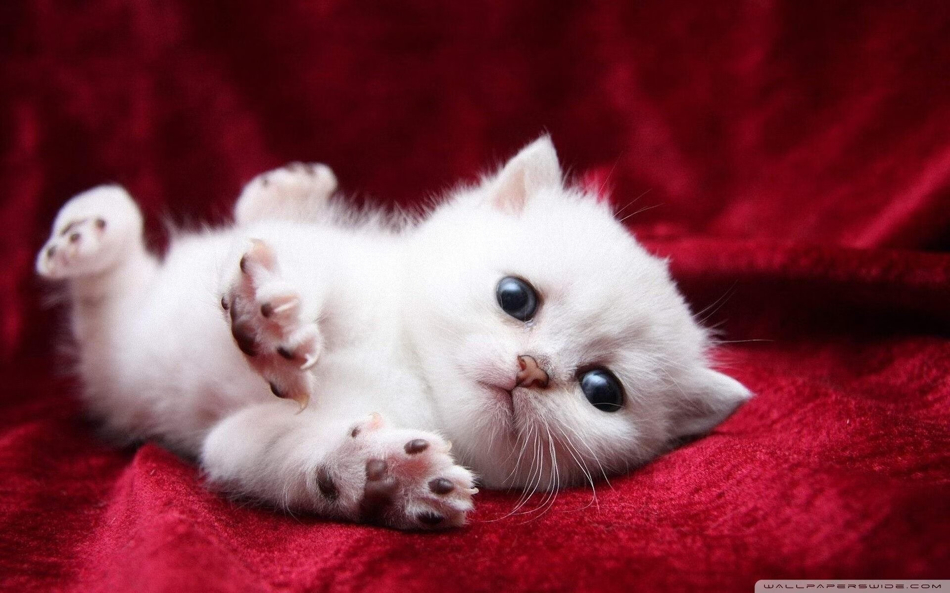 唯一，当拜仁巅峰定义亚洲之巅