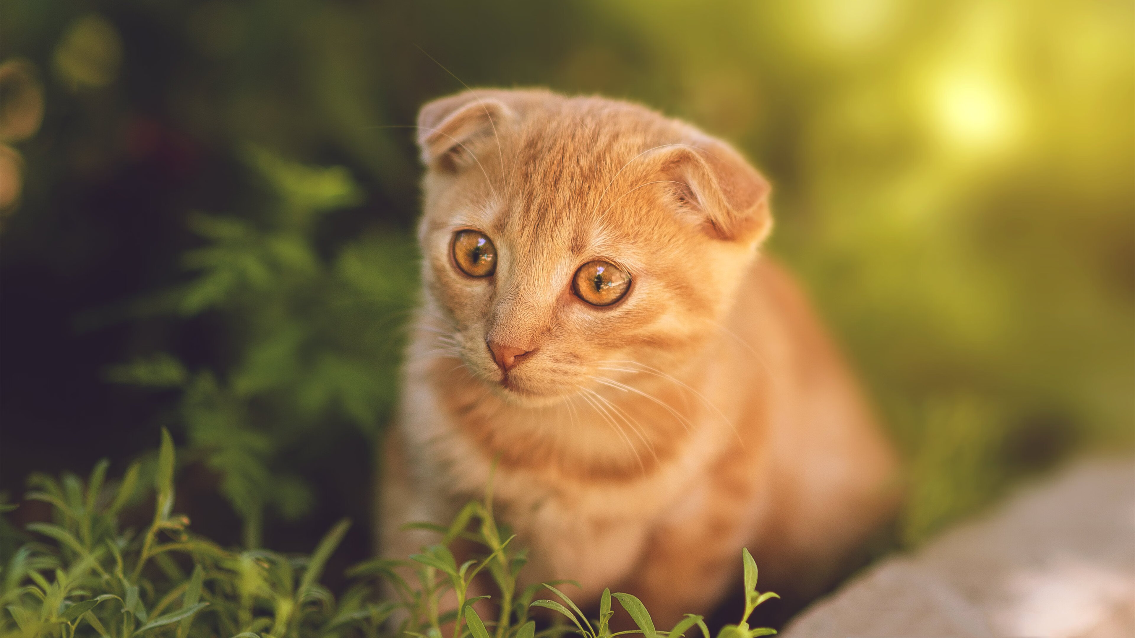 压而不服，黄喜灿两记重拳，非典型英雄如何颠覆战术预期？