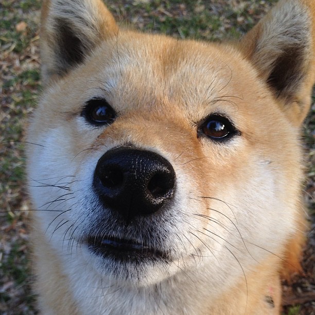 今夜,唯杜兰特定义伟大