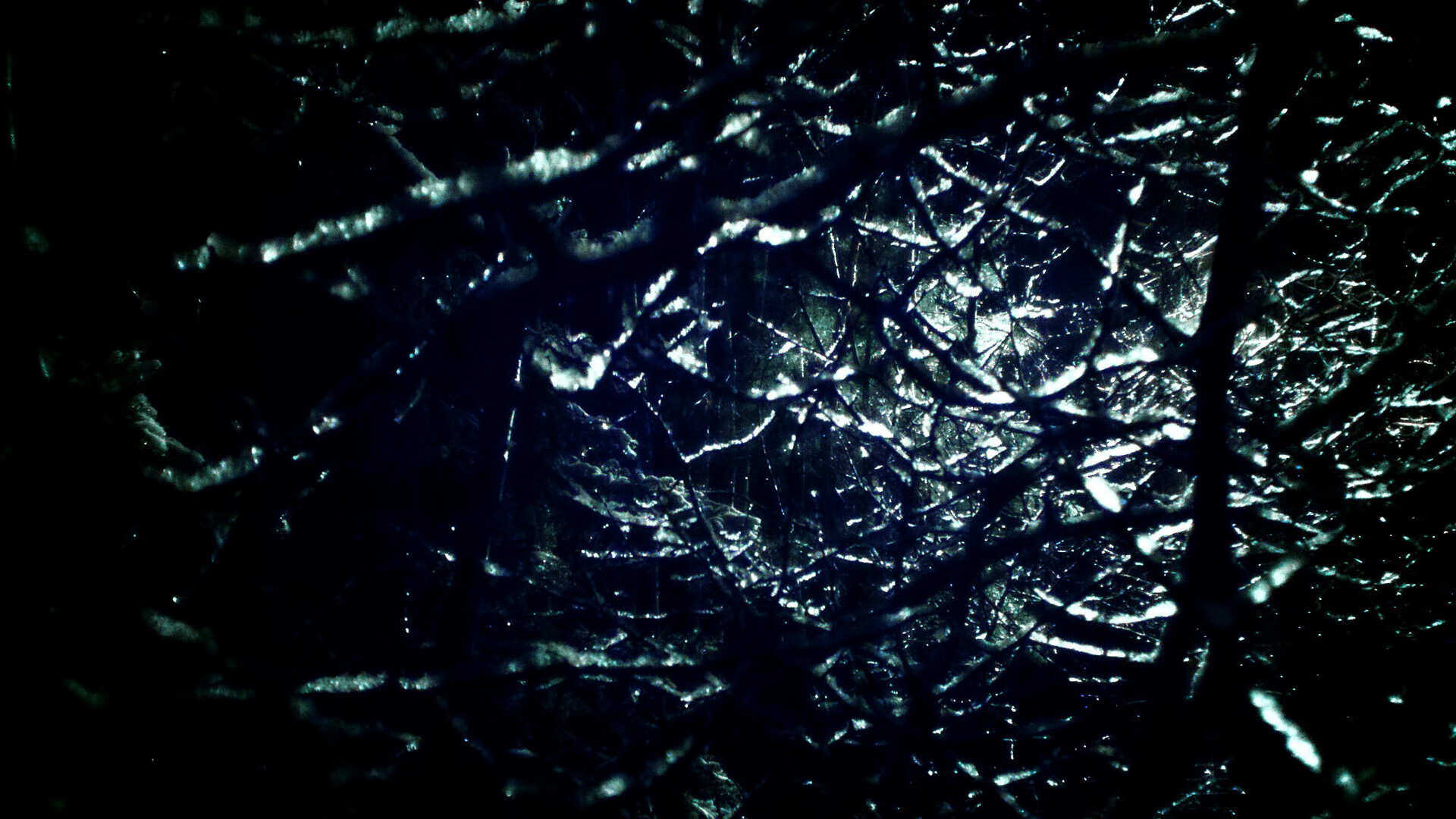 冰山之下,当福克斯的个人英雄主义遇见浙江队的体系碾压