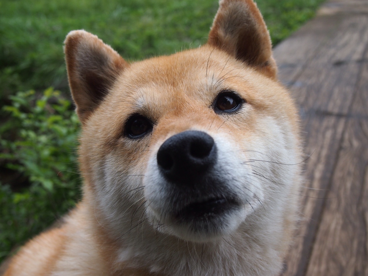 冰封费城，小贾伦逆天爆发，难阻凯尔特人碾压铁蹄