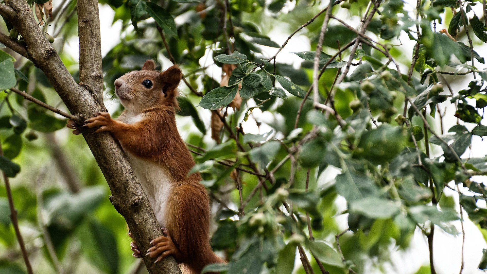 当古典剑术遇见三分暴雨，篮球世界的唯一性在何处绽放？
