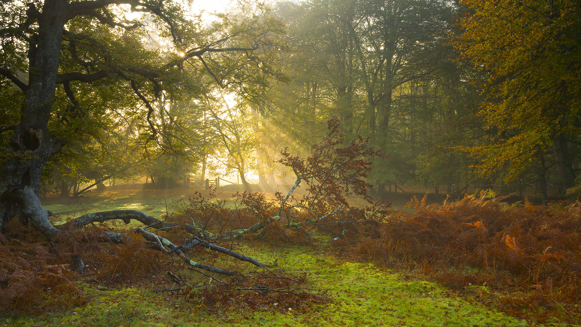 当纽约遇见上海,一场跨越时空的篮球生死战