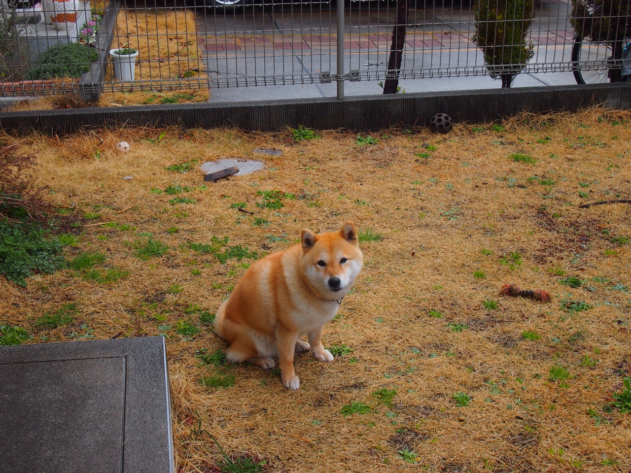 红布与斗牛场,当文班亚马在年度焦点之战中接管比赛