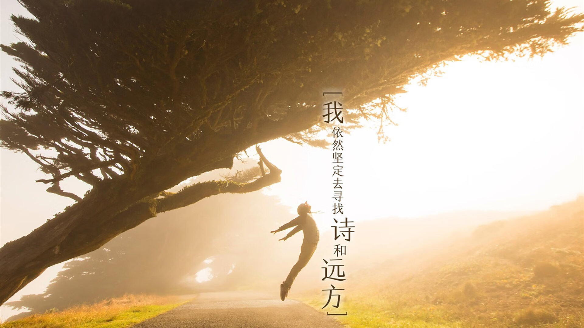 星火燎原之夜,格列兹曼点燃F1年度争冠烽火