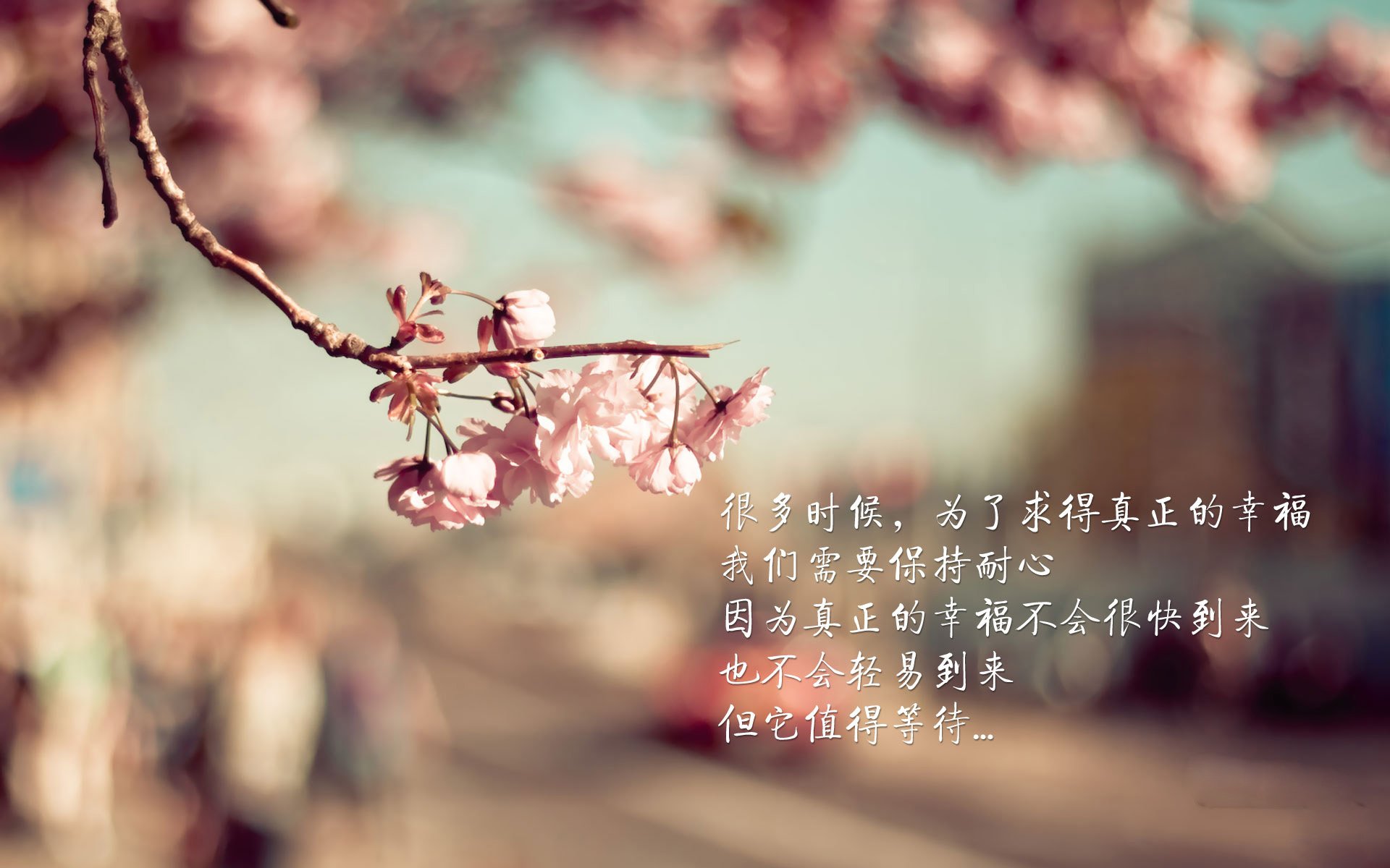 D组暗流,当罗马尼亚撕碎葡萄牙的黄金甲,费利克斯完成了最后的救赎