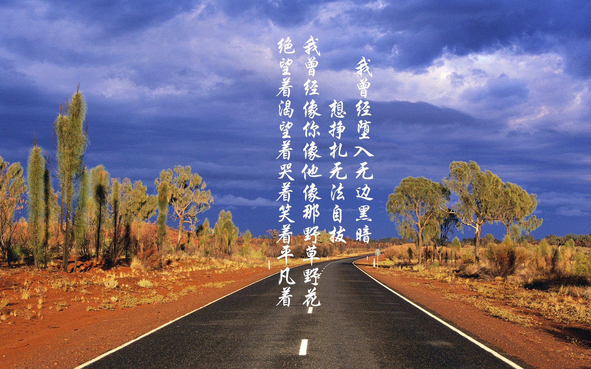 血色黎明,当莱万的孤注一掷,遇上穆西亚拉的加冕之夜—2026世界杯B组首轮,波兰四球屠戮喀麦隆的战术革命与时代交替